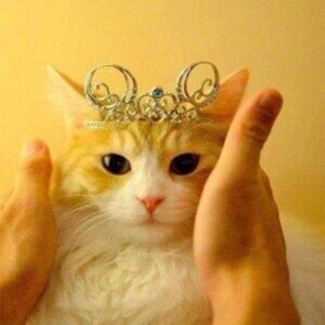 We can't all be the Princess, somebody has to sit on the curb & clap as I go by